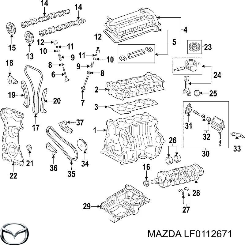  Zapata Cadena De Distribuicion para Ford C-Max 