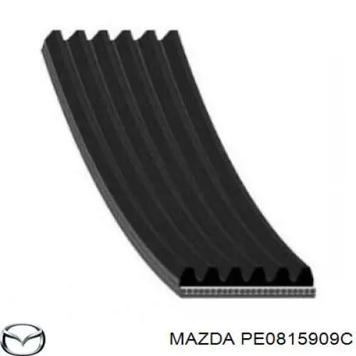 PE0815909C Mazda correa trapezoidal