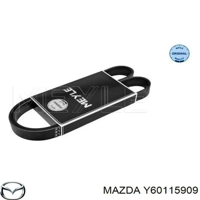 Y60115909 Mazda correa trapezoidal