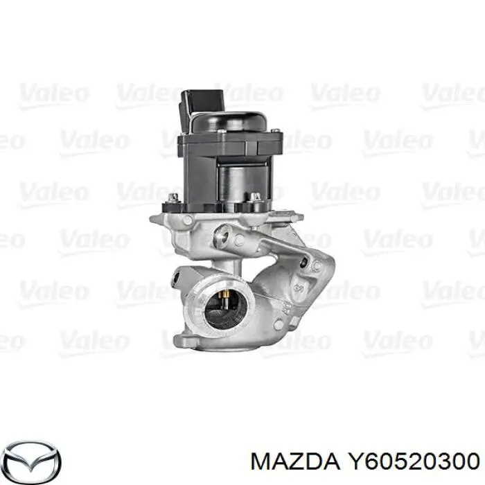 Y60520300 Mazda válvula, agr