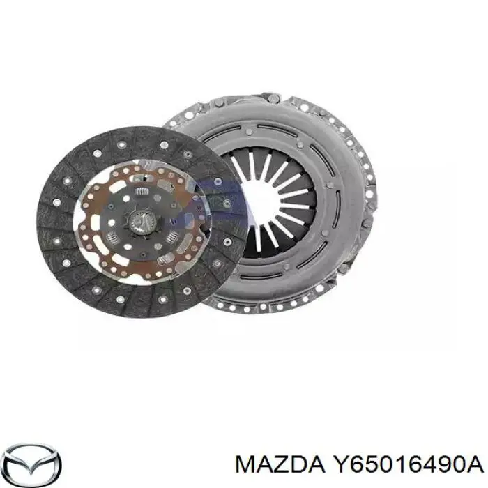 Y65016490A Mazda 