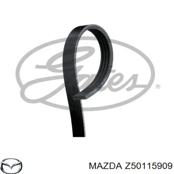 Z50115909 Mazda correa trapezoidal