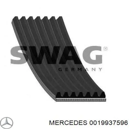 0019937596 Mercedes correa trapezoidal