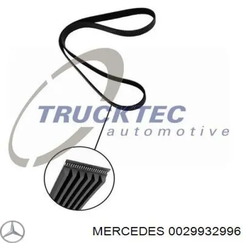 0029932996 Mercedes correa trapezoidal