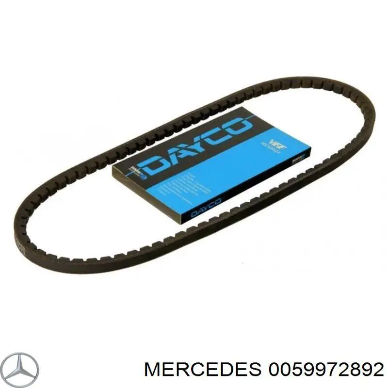 0059972892 Mercedes correa trapezoidal