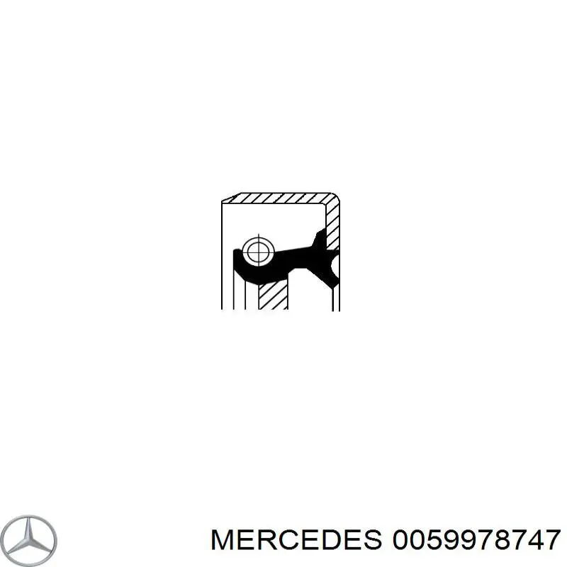 0059978747 Mercedes anillo reten caja de transmision (salida eje secundario)