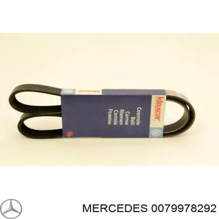 0079978292 Mercedes correa trapezoidal