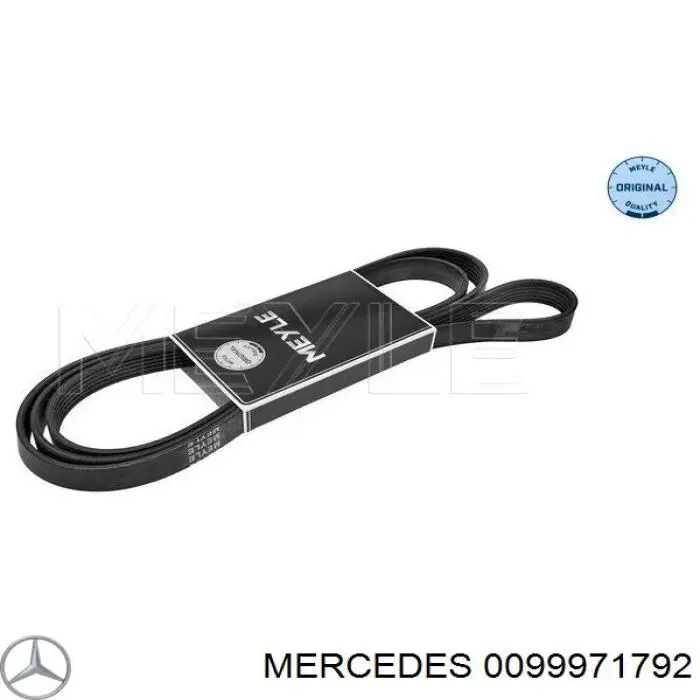 0099971792 Mercedes correa trapezoidal