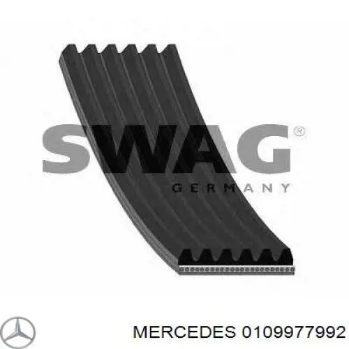 0109977992 Mercedes correa trapezoidal