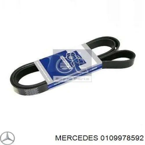 0109978592 Mercedes correa trapezoidal