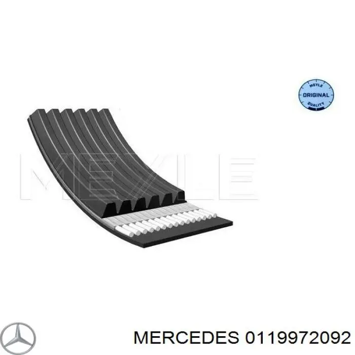 0119972092 Mercedes correa trapezoidal