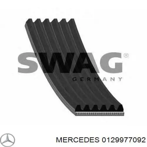 0129977092 Mercedes correa trapezoidal