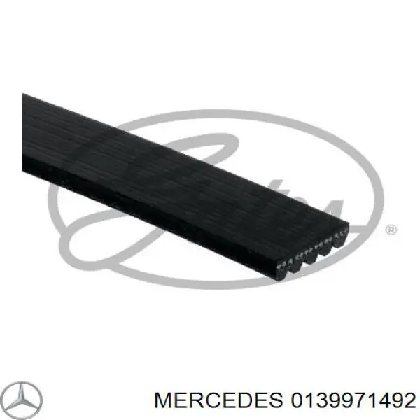 0139971492 Mercedes correa trapezoidal