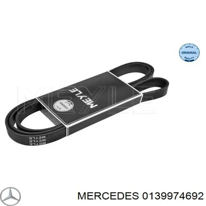 0139974692 Mercedes correa trapezoidal