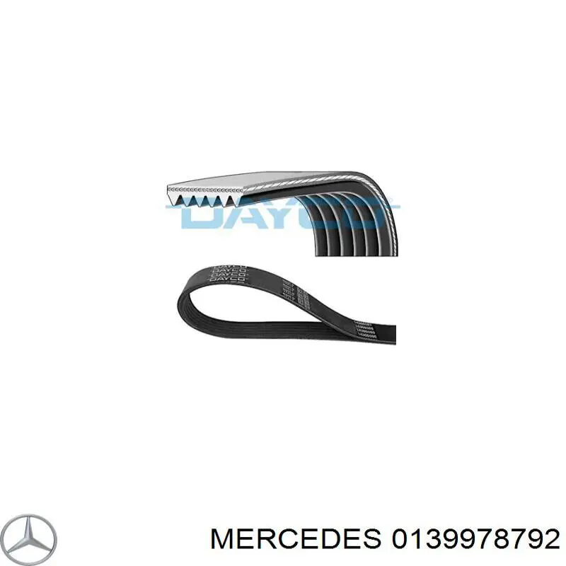 0139978792 Mercedes correa trapezoidal