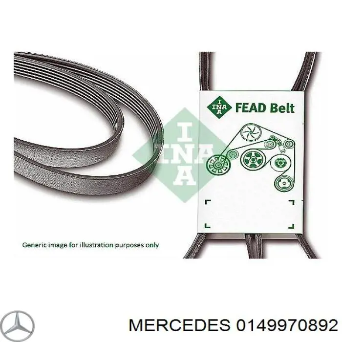 0149970892 Mercedes correa trapezoidal