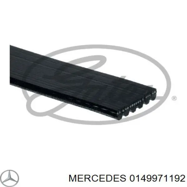 0149971192 Mercedes correa trapezoidal