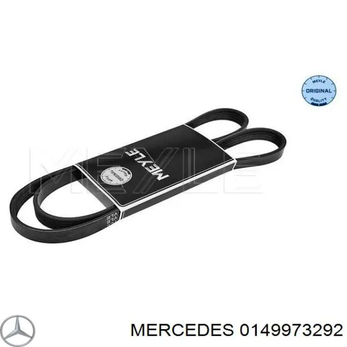 0149973292 Mercedes correa trapezoidal