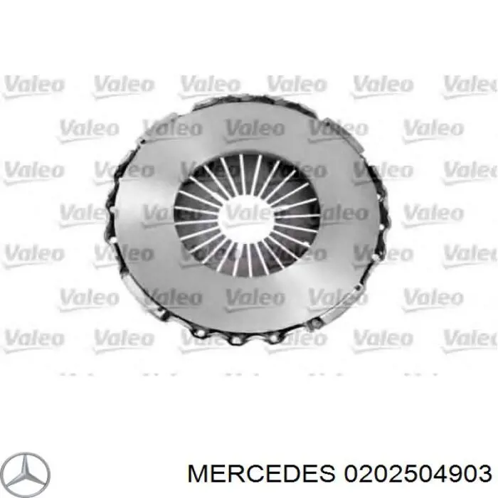 A0202504903 Mercedes 