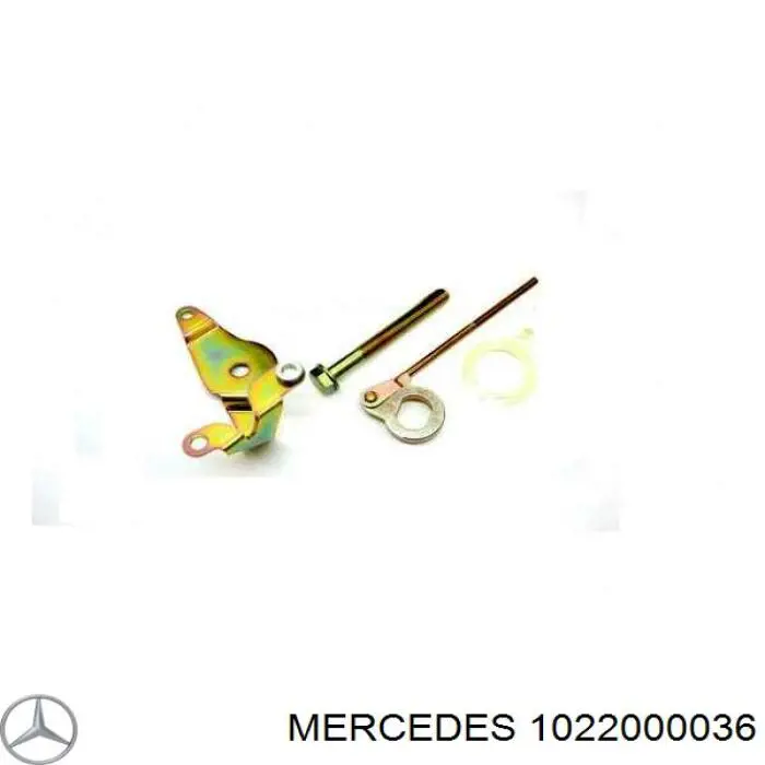 1022000036 Mercedes soporte, brazo tensor, correa poli v