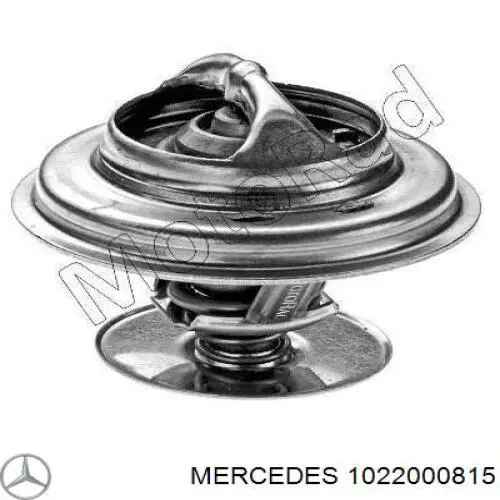 1022000815 Mercedes termostato, refrigerante