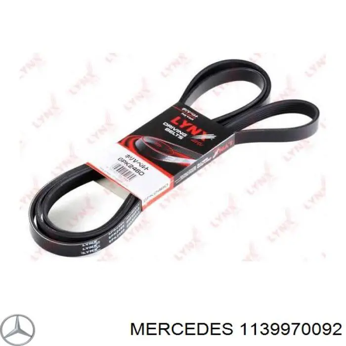 1139970092 Mercedes correa trapezoidal