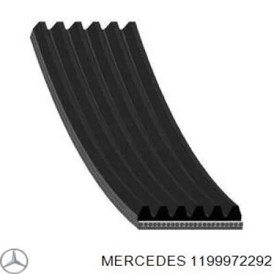 1199972292 Mercedes correa trapezoidal