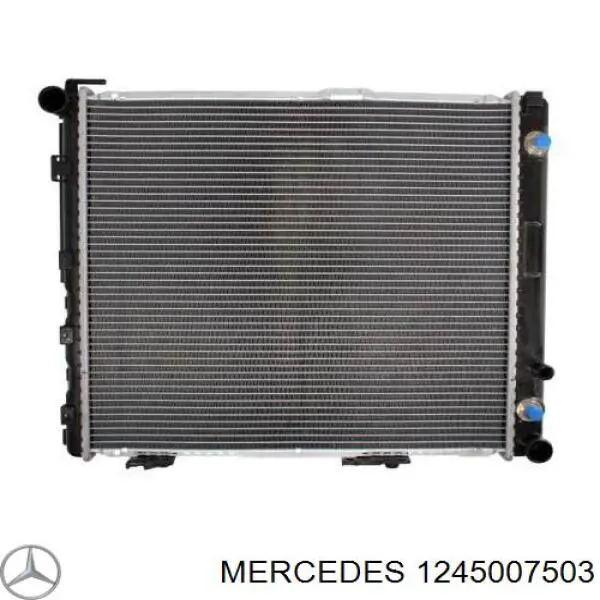 1245007503 Mercedes radiador refrigeración del motor