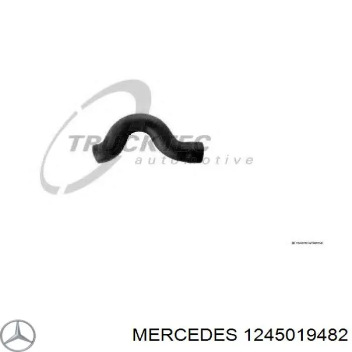 1245019482 Mercedes tubería de radiador arriba