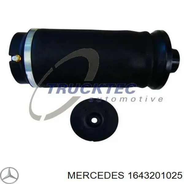 1643201025 Mercedes muelle neumático, suspensión, eje trasero