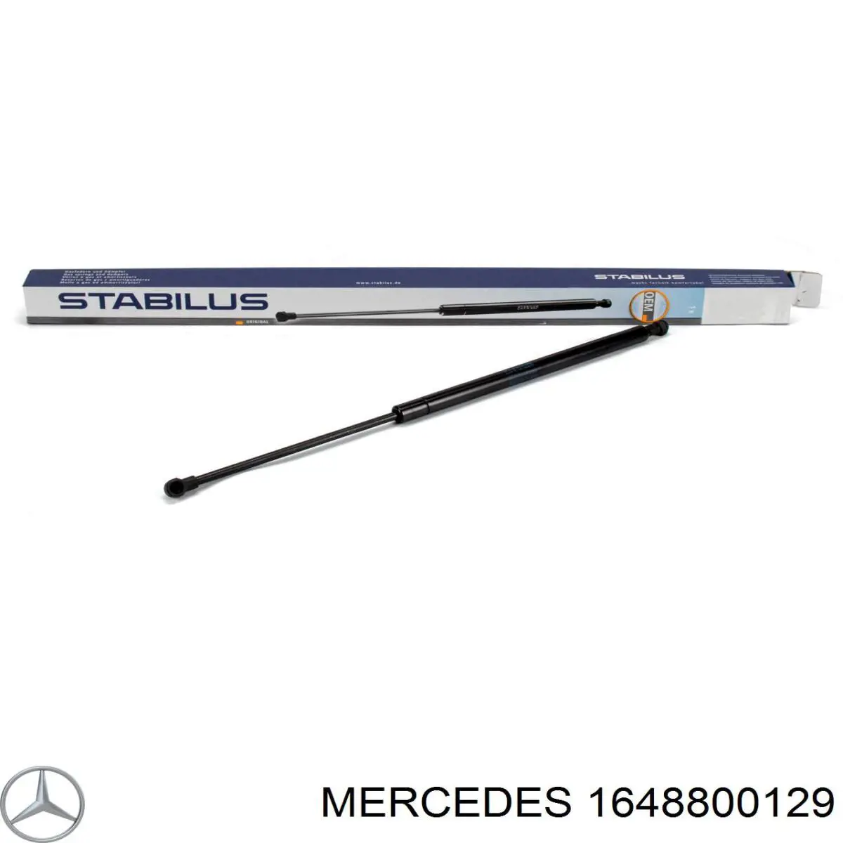 1648800129 Mercedes muelle neumático, capó de motor derecho