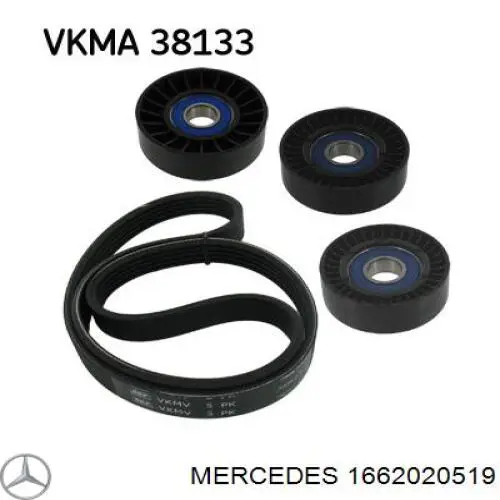 1662020519 Mercedes rodillo, correa trapecial poli v