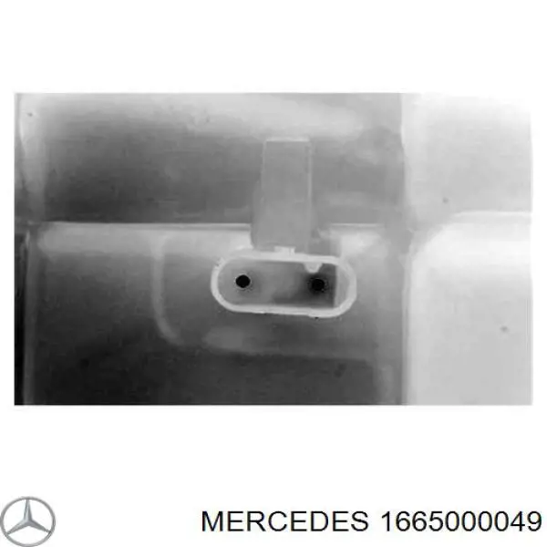 1665000049 Mercedes botella de refrigeración