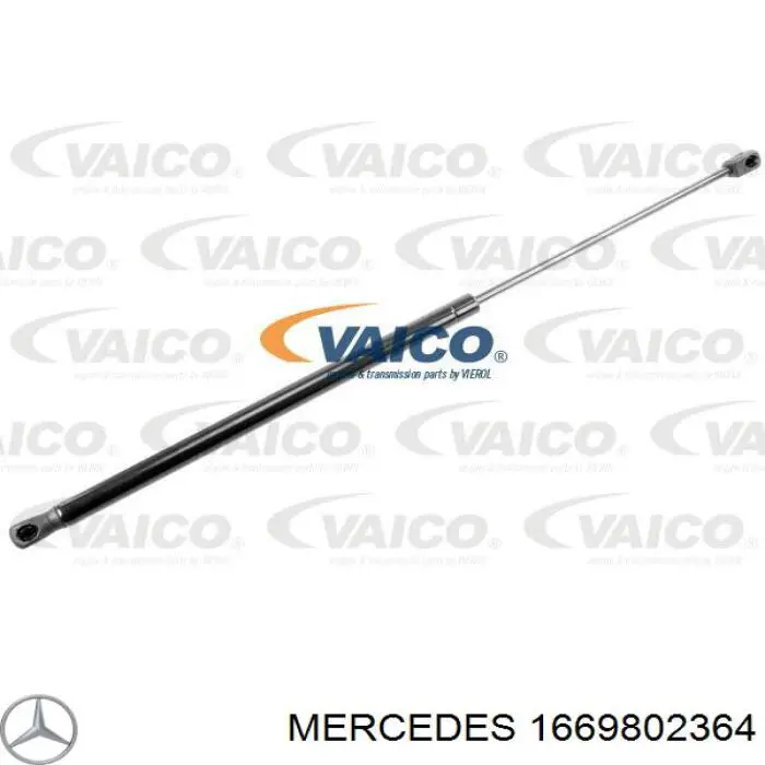 1669802364 Mercedes muelle neumático, capó de motor izquierdo