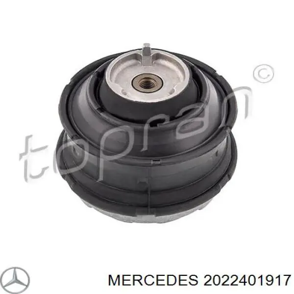 2022401917 Mercedes soporte motor izquierdo