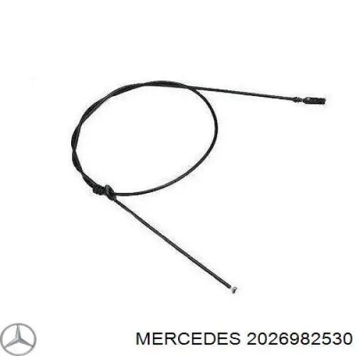 A20269825309999 Mercedes grapa