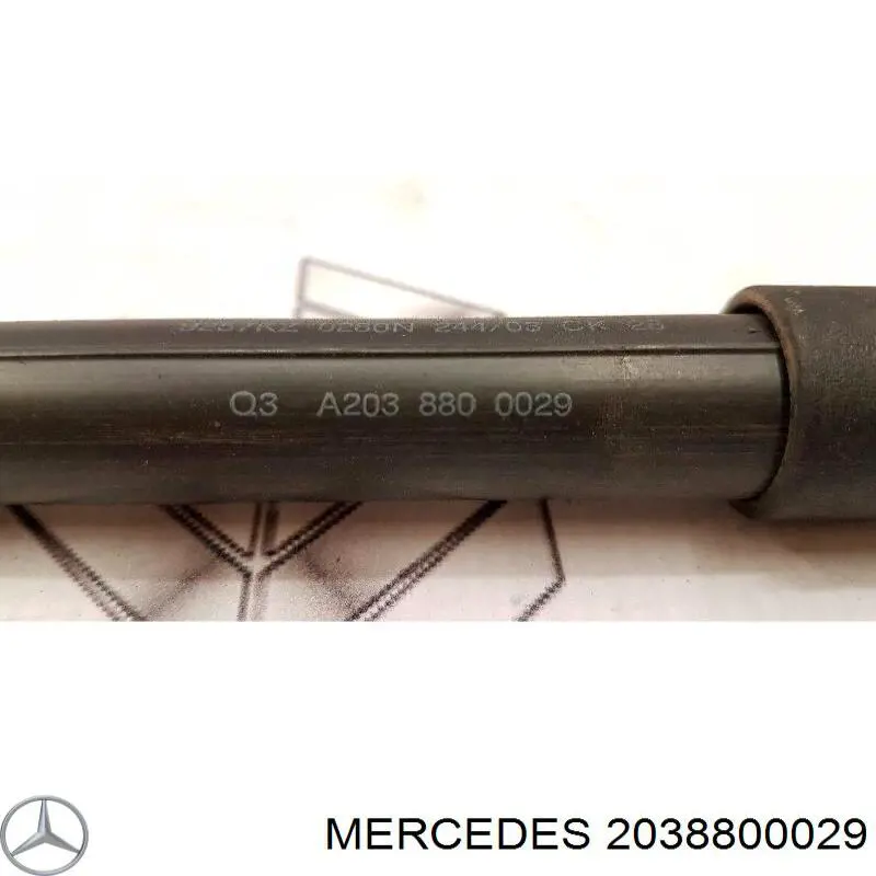 2038800029 Mercedes muelle neumático, capó de motor derecho