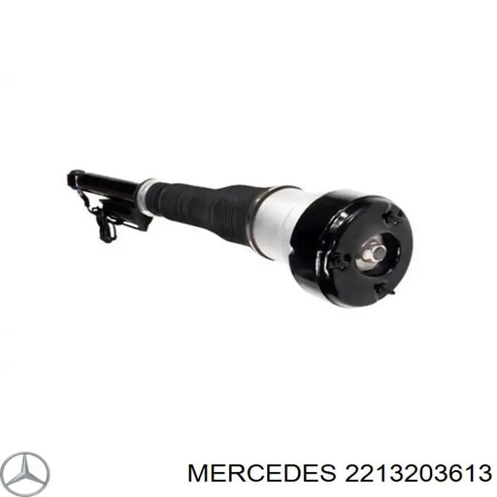 2213203613 Mercedes 