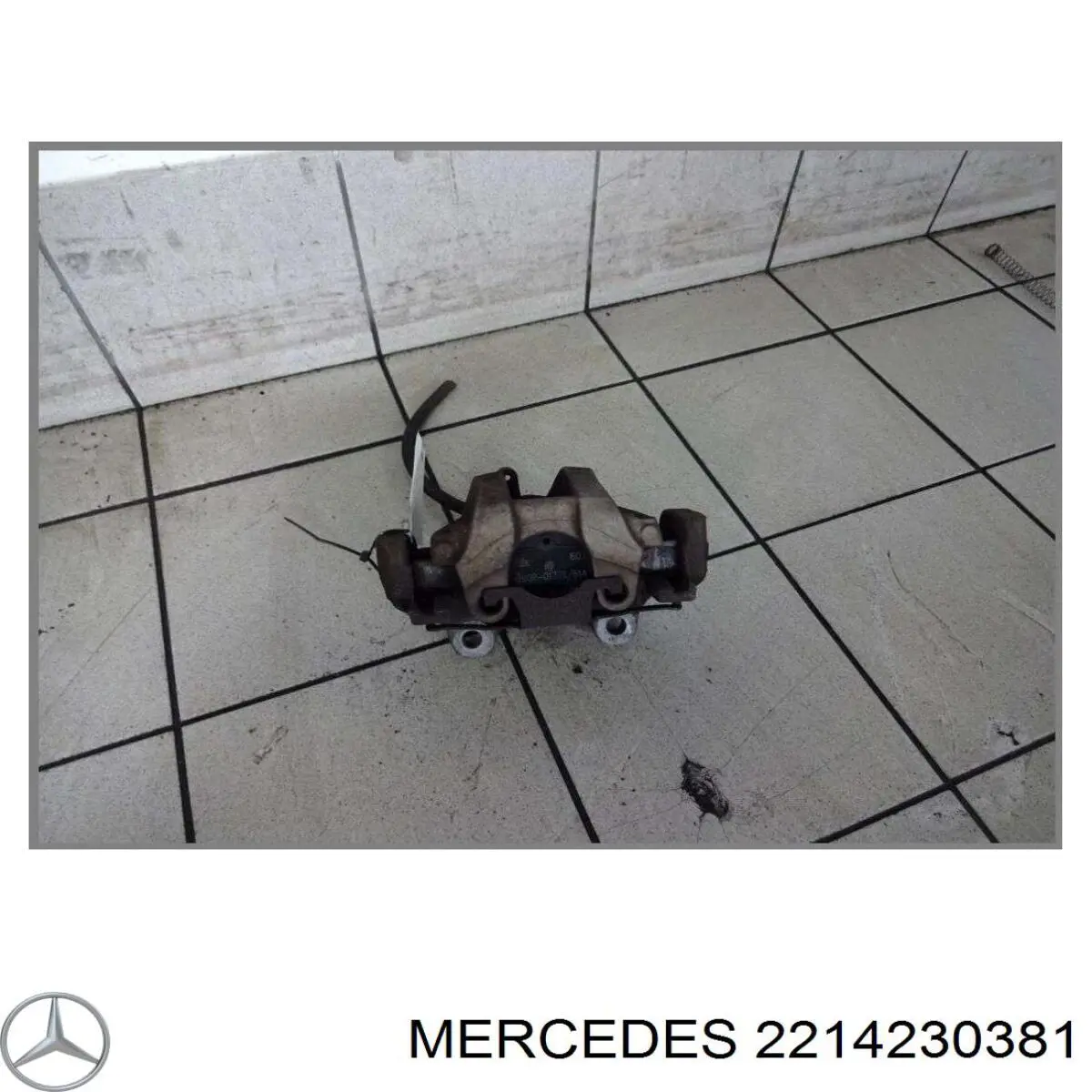  Pinza de freno trasera izquierda para Mercedes S C216