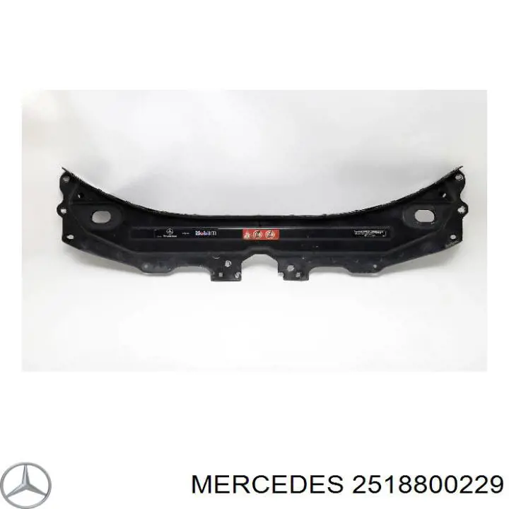 2518800229 Mercedes muelle neumático, capó de motor derecho