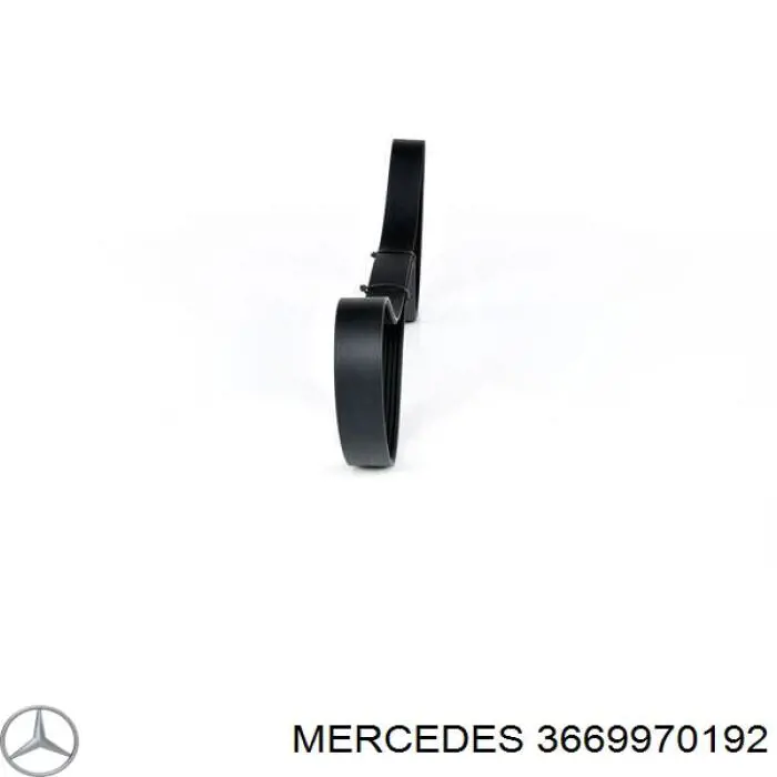 3669970192 Mercedes correa trapezoidal