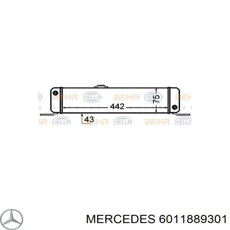 6011889301 Mercedes radiador de aceite