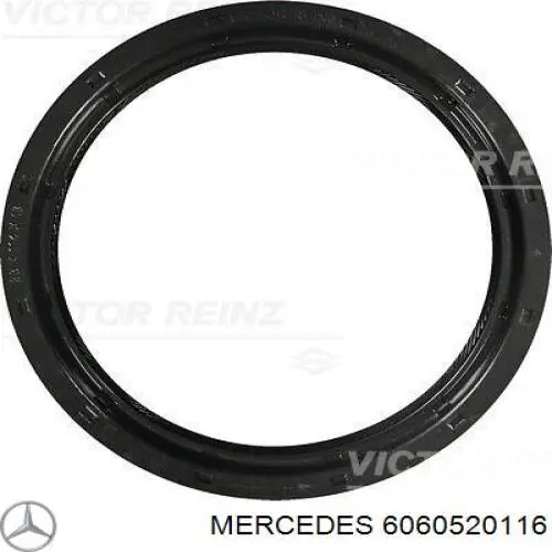 6060520116 Mercedes carril de deslizamiento, cadena de distribución