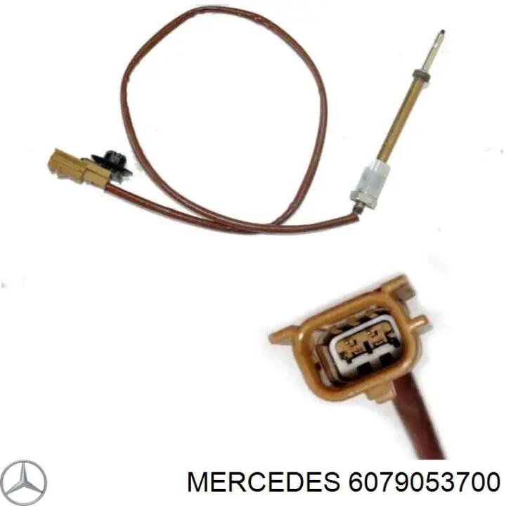 A6079053700 Mercedes 