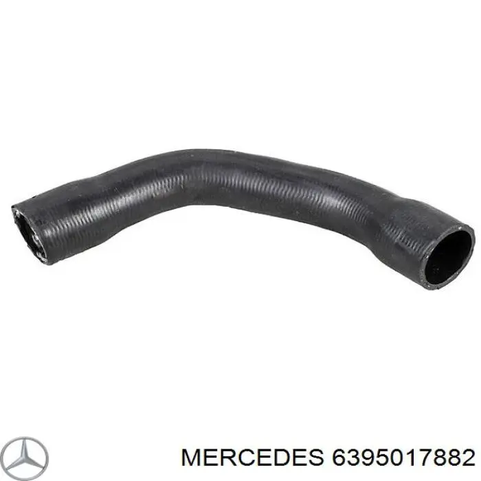 6395017882 Mercedes manguera refrigerante para radiador inferiora