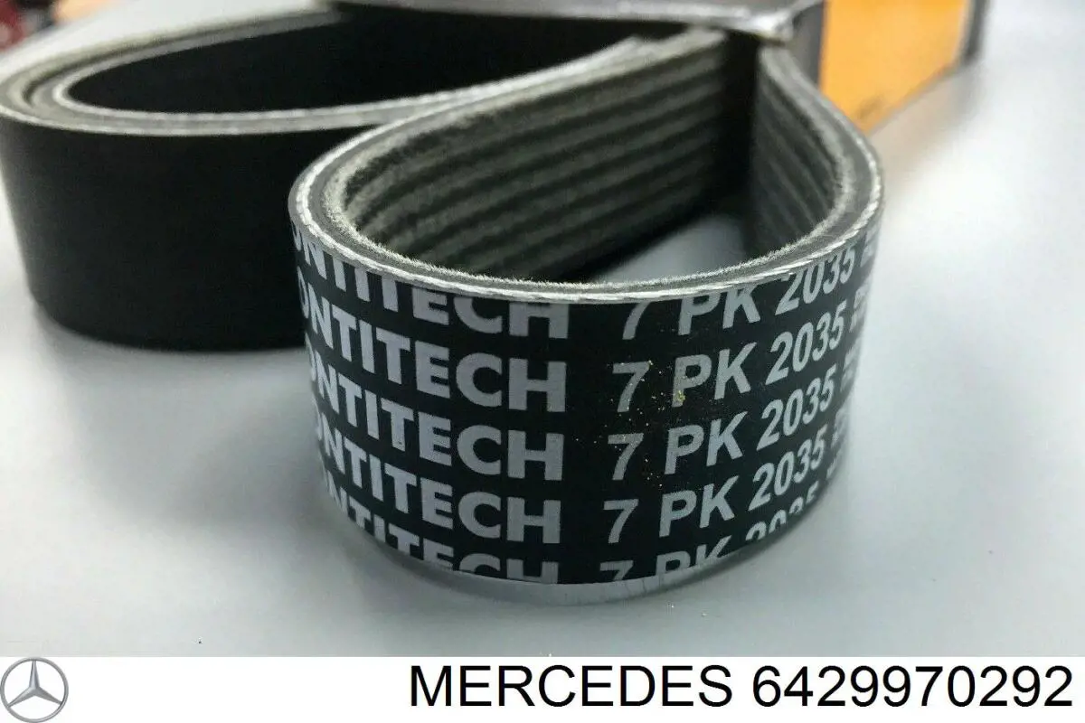 6429970292 Mercedes correa trapezoidal