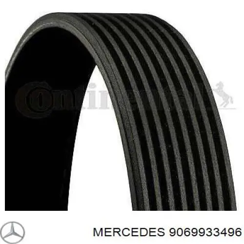 9069933496 Mercedes correa trapezoidal