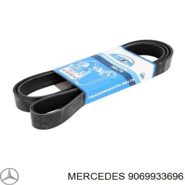 9069933696 Mercedes correa trapezoidal