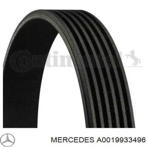 A0019933496 Mercedes correa trapezoidal