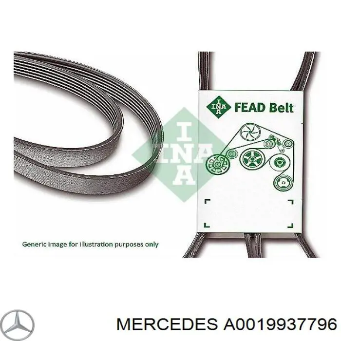 A0019937796 Mercedes correa trapezoidal